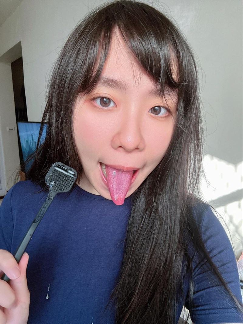 試用